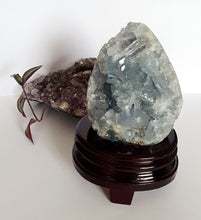 Load image into Gallery viewer, Large Celestite Cluster on Stand